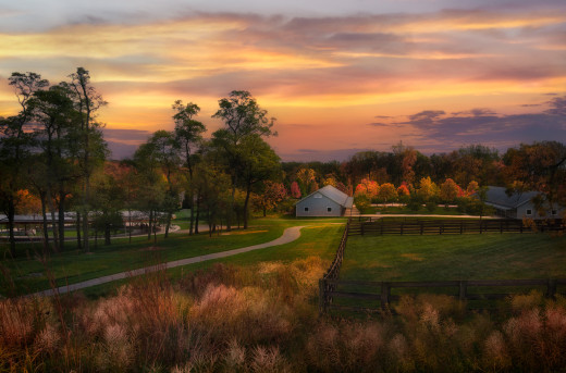 �1759336 �������(a): ����������:3072x2026